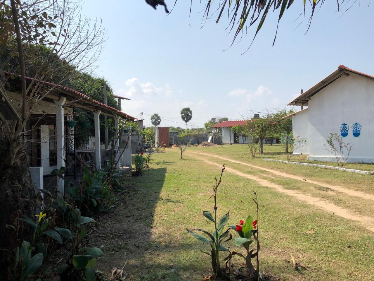 尼拉瓦利布利斯湾度假村 外观 照片